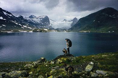 Jotunheimen, das Land der Trolle